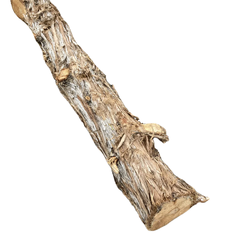 Cedar Post 7feet tall 5inch diameter Mountain Heart (Juniperus Mexicana).