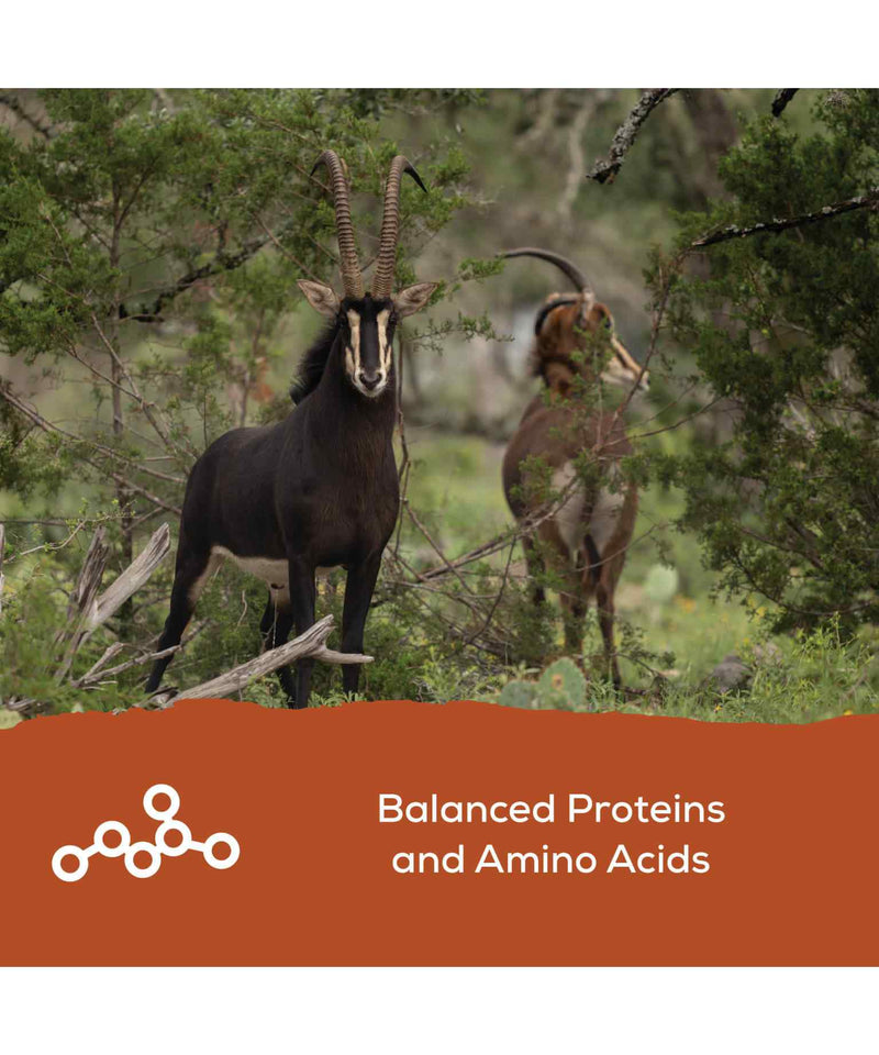 Record Rack Antlers Plus Deer and Exotics (A.P.E.X.) Feed 20% - 50 LB