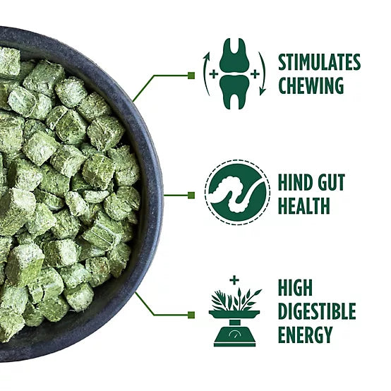 Standlee Premium Western Forage Alfalfa Hay Cube Horse Feed, 40 lb.