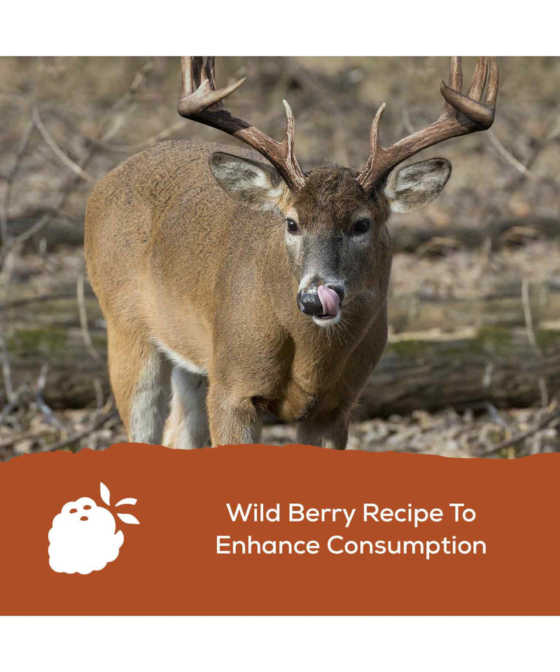 Record Rack Antlers Plus Deer and Exotics (A.P.E.X.) Feed 20% - 50 LB