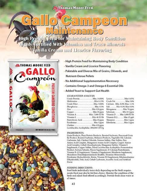 Gallo Campeon Conditioner 16%