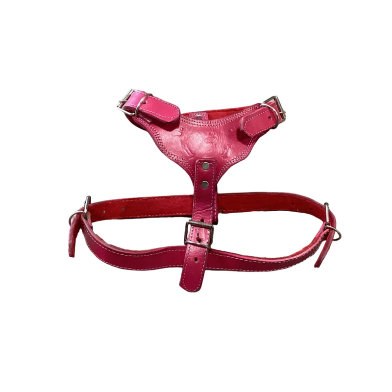 Leather Harness - Pechera de piel