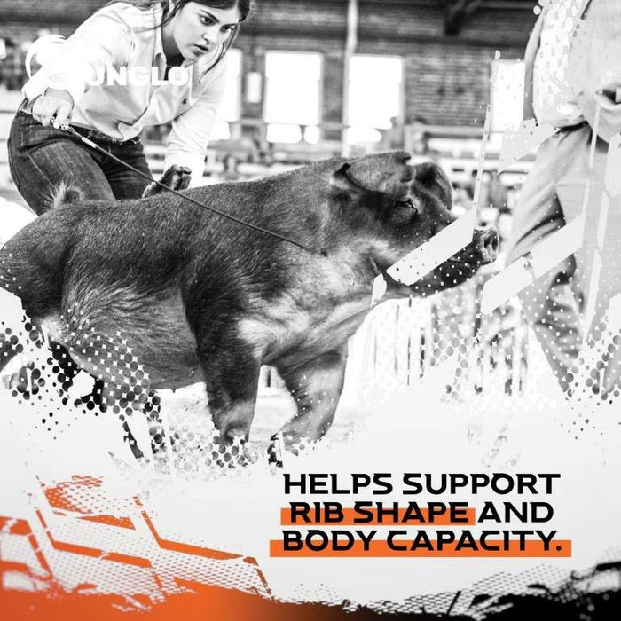 Sunglo Full Tank Pelleted Show Animal Cattle, Sheep, & Goat Supplement, 50-lb bag