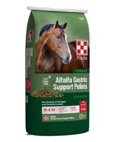 Purina® Forage Alfalfa Gastric Support Pellets 40 Lbs