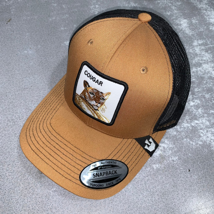 ARIAT - CAP