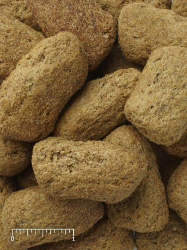 MAZURI® PRIMATE GROWTH & REPRO BISCUIT 25LB