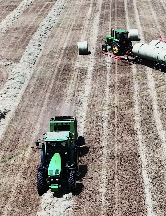 LC ROUND COASTAL HAY BALES (ZAPATA)