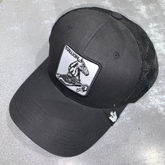 ARIAT - CAP