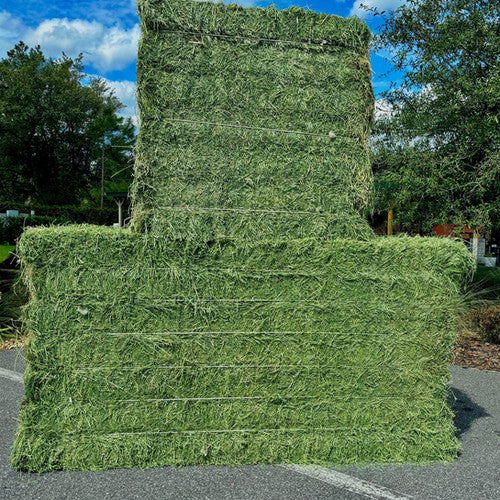 Alfalfa Super Bale 3x4x8