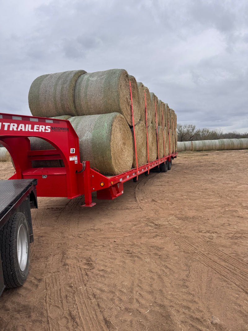 LC ROUND COASTAL HAY BALES (ZAPATA)