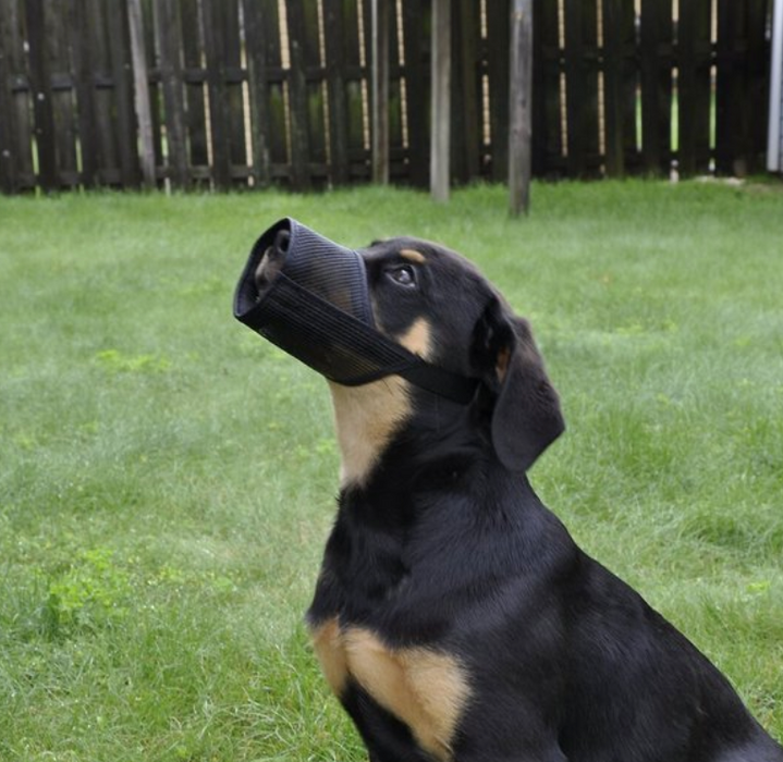 Best Fit Mesh Muzzle - Dogs - Black - Size 1