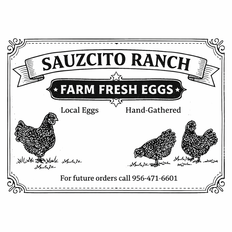 FARM FRESH EGGS (12 DZN)