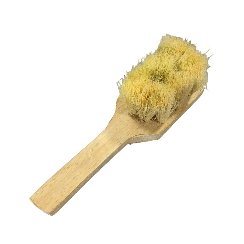 CEPILLO IXTLE, MANGO CORTO