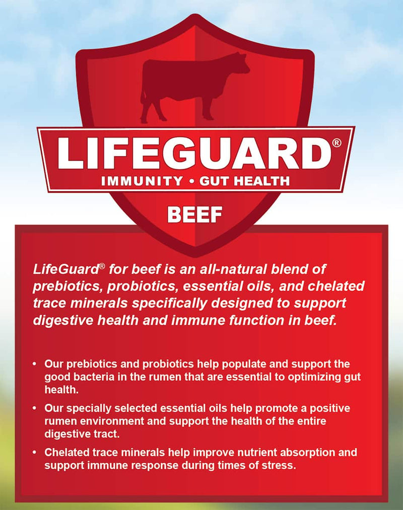 Kalmbach Cattle Feed Finish Right® Opti-Gain (Medicated) Special Order