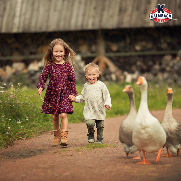 Duck, Goose & Swan Feed