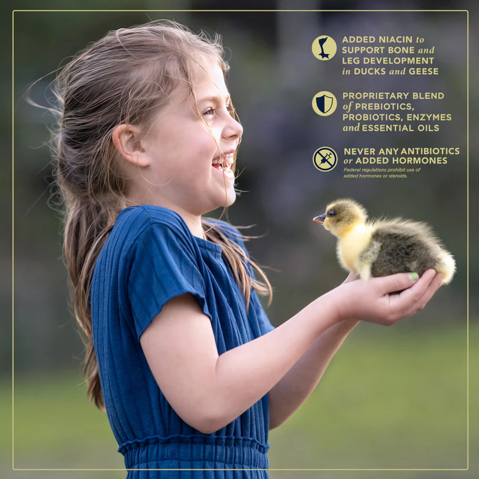 Duck, Goose & Swan Feed