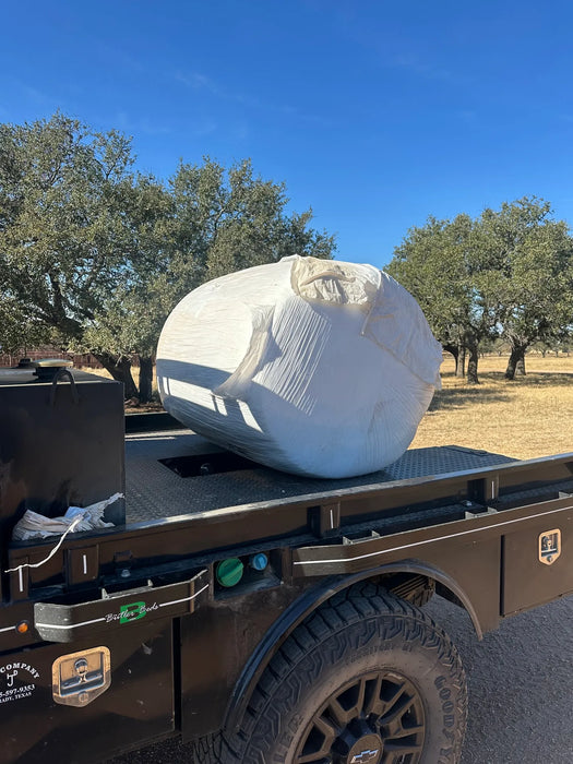 COTTON SEED BALE 1000 LB Avg