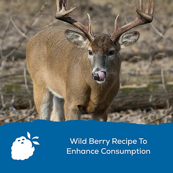 Record Rack 14% Protein Deer Block - 30 LB