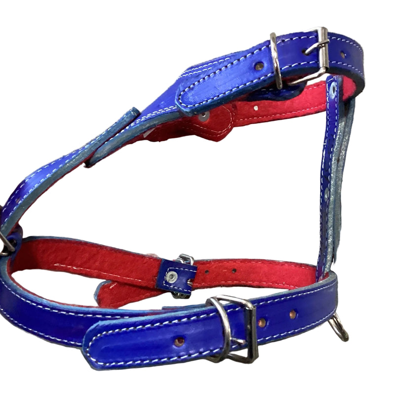 Leather Harness - Pechera de piel