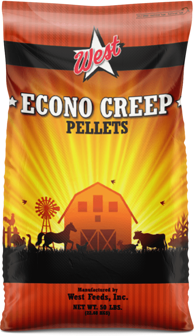 West ECONO CREEP 3/8” 14% - 50 LB