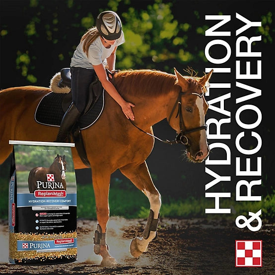 Purina RepleniMash Horse Product 25LB