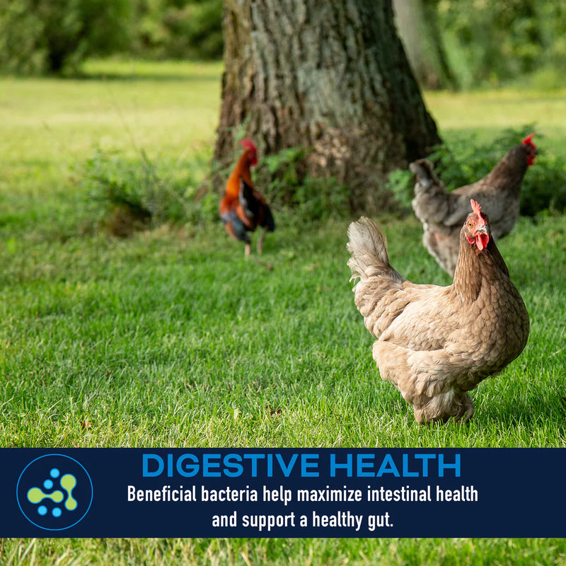 LifeGuard® Poultry Supplement 2 Lbs