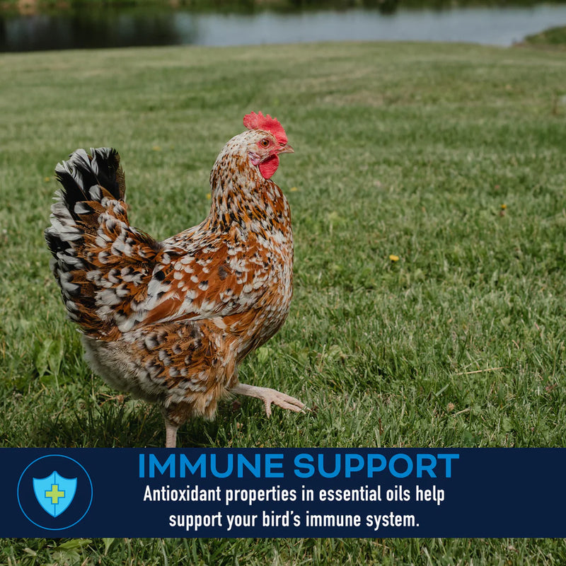 LifeGuard® Poultry Supplement 2 Lbs