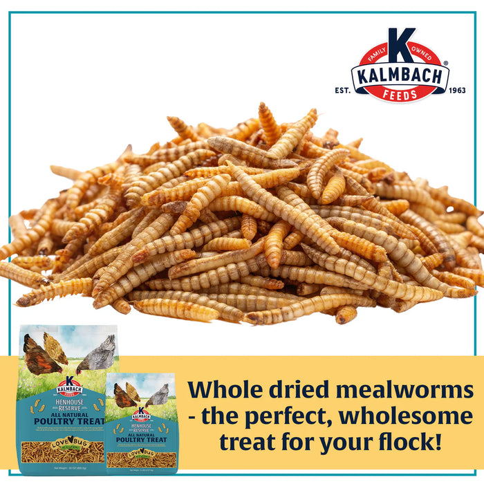 Henhouse Reserve Love Bug­™ Mealworm Treats  5 Lbs