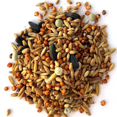 Texas Natural Feeds Elite Scratch, 10% Protein - 10 LB