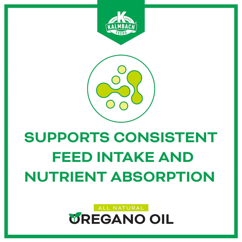 Oregano Oil Supplement for Poultry 16 Oz