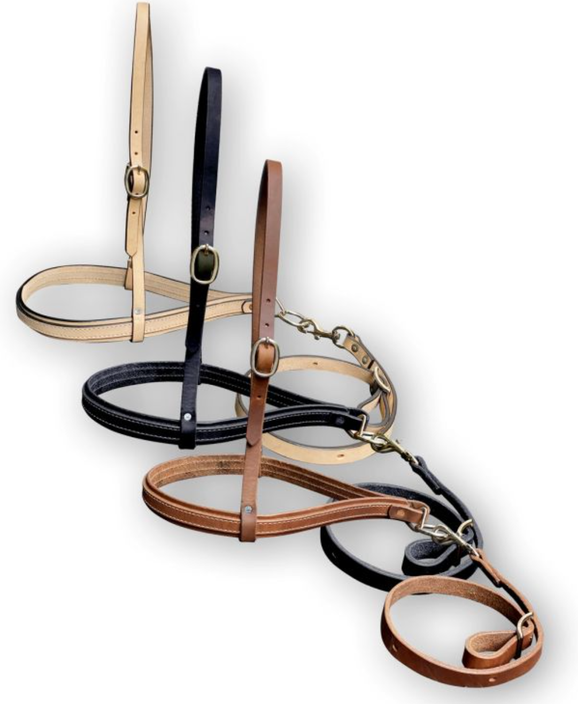 Showman Argentina Leather Nose Band & Tiedown — Bushland Ranch Store