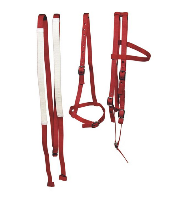 RACE SET, H/S, REINS, CAVESON, GREEN