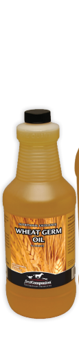 FIRST COMPANION® WHEAT GERM OIL BLEND 32 OZ 1/PKG