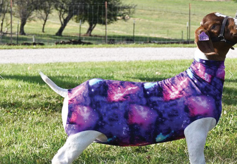 SHEEP Spandex Tube - LARGE GALAXY