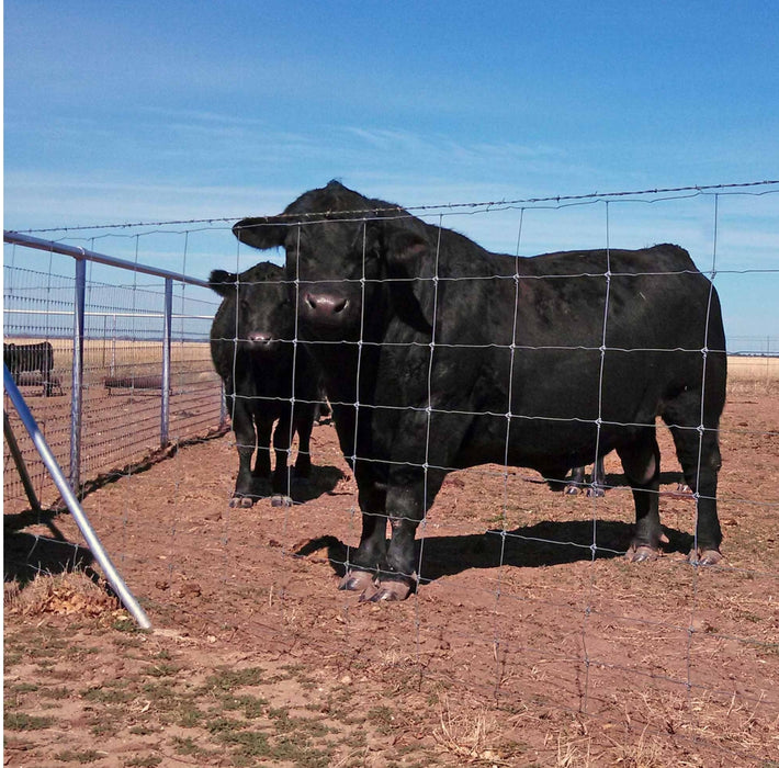 Cattle-Tuff ST 949-6-330