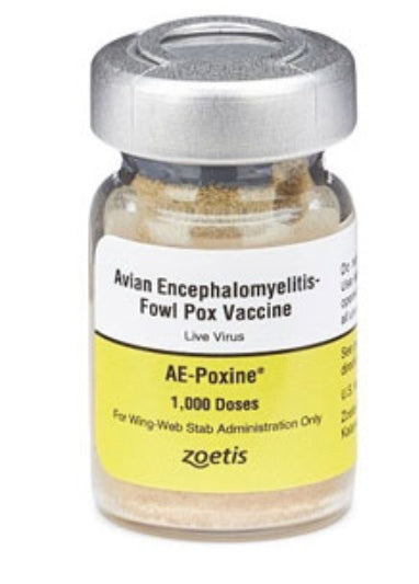 AE-POXINE AVIAN ENCEPHALOMYELITIS AND FOWL POX VACCINE 1000 DS 10/