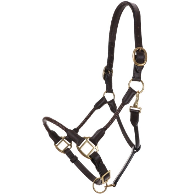 Leather Halter with Braided Nose and Cheeks