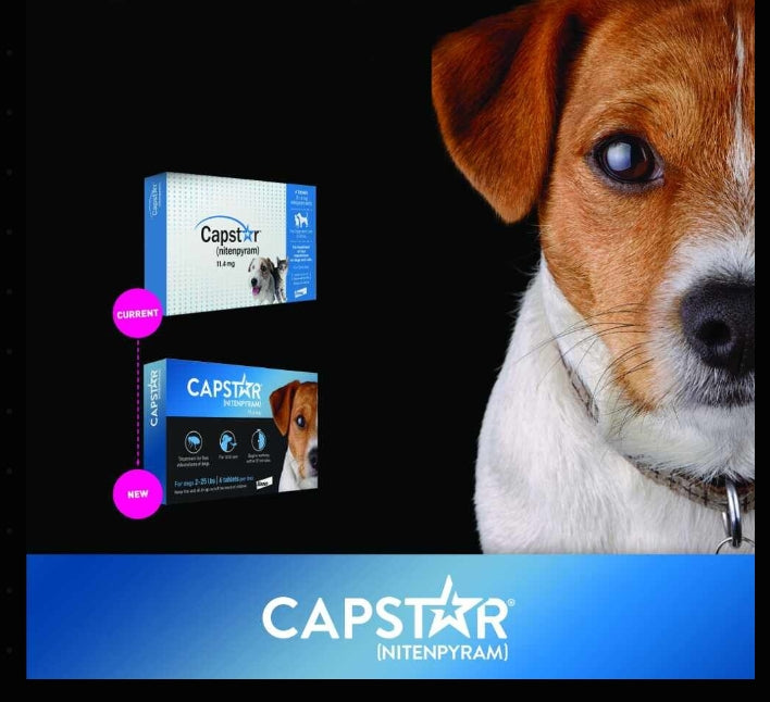 Capstar Flea Tabs-Dogs (2-25#) BOX