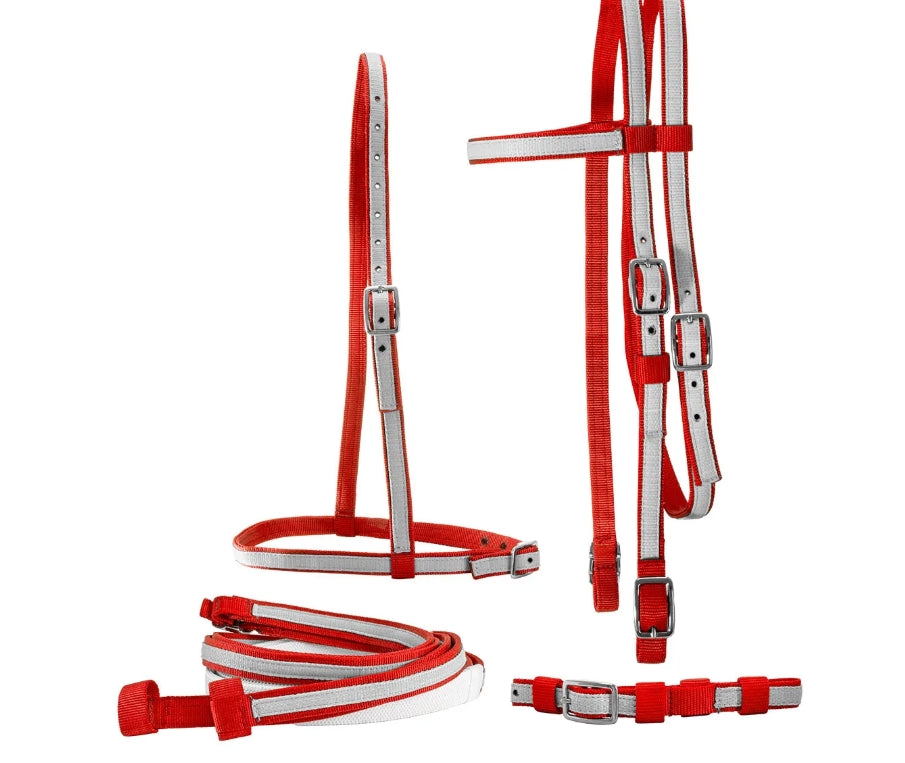 Jacks Race Bridle Thoroughbred 2 Tone — Bushland Ranch Store