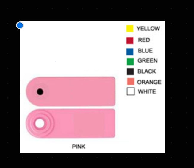 ALLFLEX SHEEP FEM/ SHEEP MALE PINK