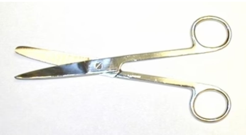 Surgical Scissors 6.5' curved blade