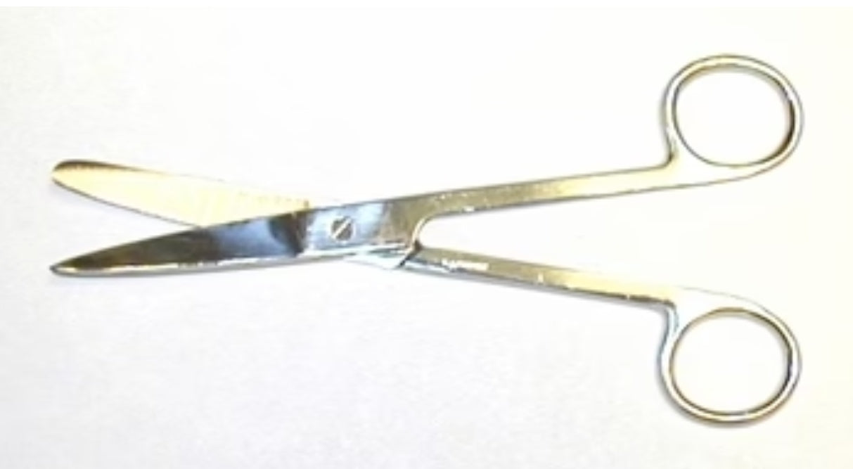 Surgical Scissors 6.5' curved blade