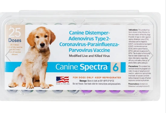 Canine Spectra 6 - One Dose, with Syringe