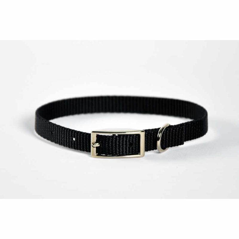 Dog Collar Skinny - 8" Black
