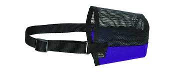SHEEP MUZZLE-BLUE — Bushland Ranch Store