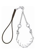 Pronged Chain Goat Collar and Lead Set