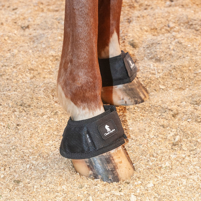MagNXT Bell Boot