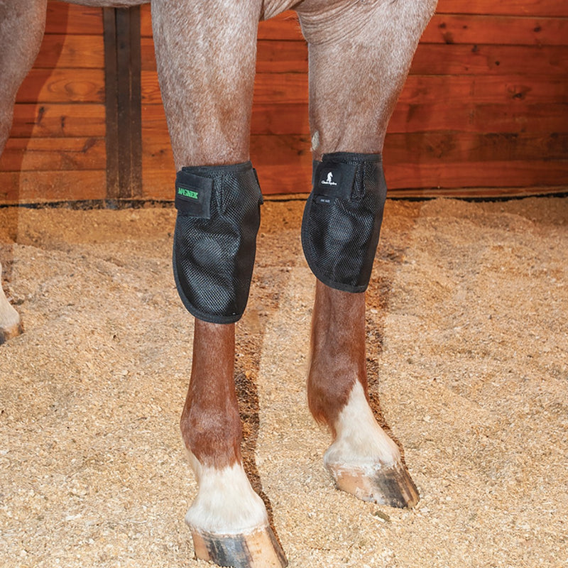 MagNXT Knee Wrap