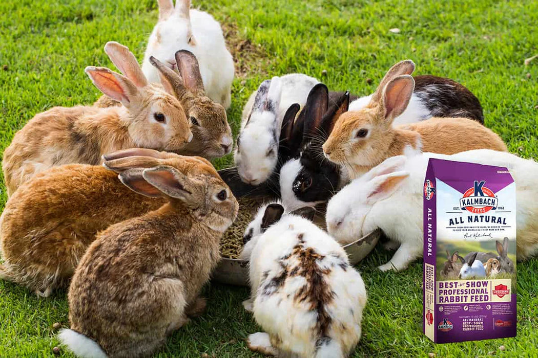 16% Best-in-Show Rabbit Pellet 50 Lbs — Bushland Ranch Store