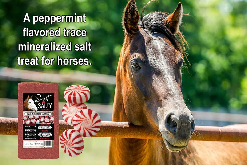 Sweet-N-Salty (Peppermint) 4 Lbs